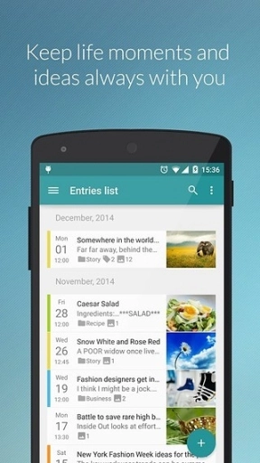Diaro图6