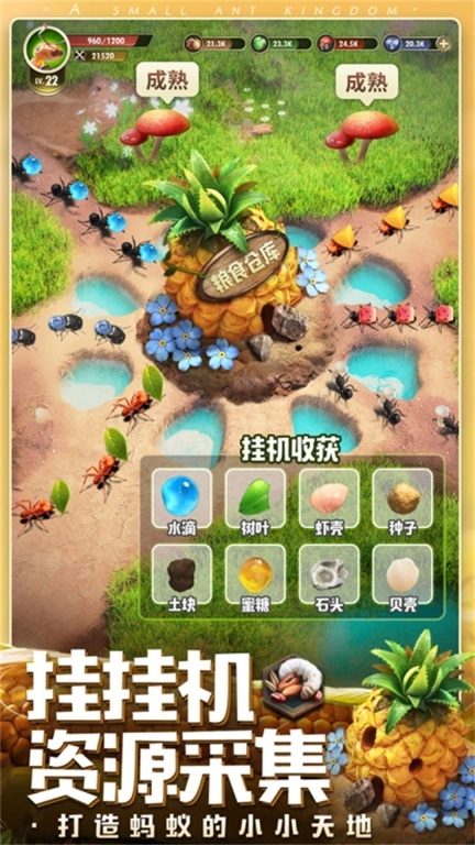 昆虫星球最新版图1