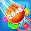 2025篮球赛
