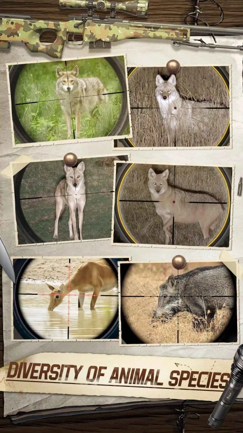狩猎狙击手中文版图2