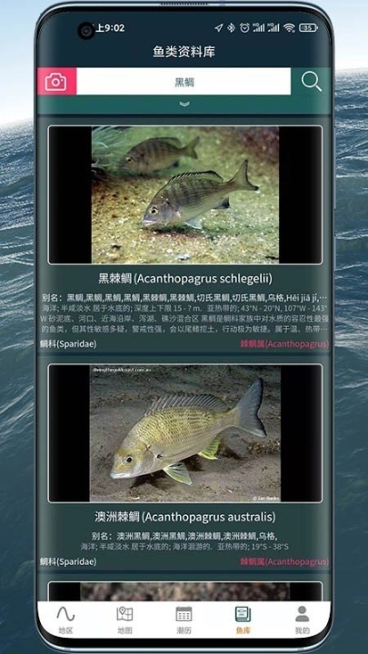 潮汐表精灵图1