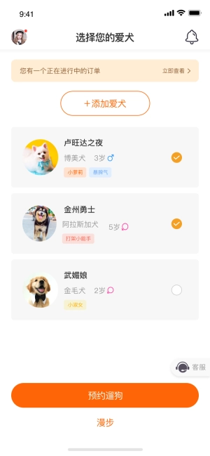 遛遛狗图4