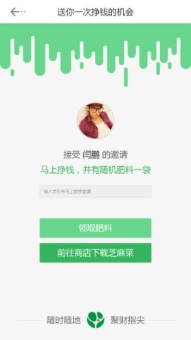 芝麻菜图1