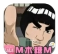 迈特凯幸存者木糖版