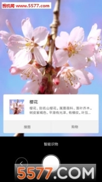 小米智能识物图3