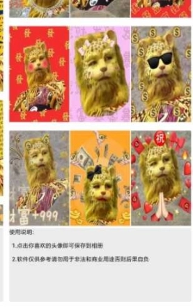 金钱豹头像图1