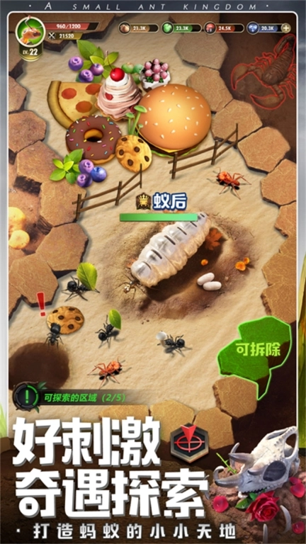 昆虫星球最新版图2