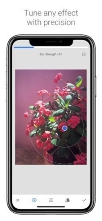 snapseed2025图4