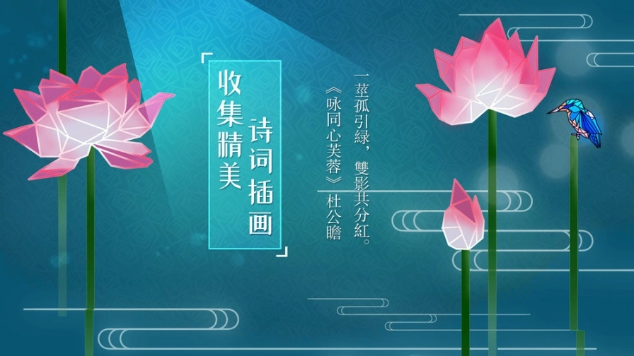 莲漪图3