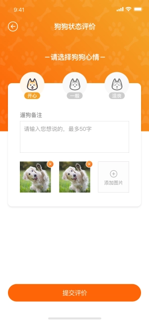 遛遛狗图3