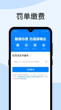 极速查违章图1