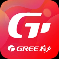 董明珠的店