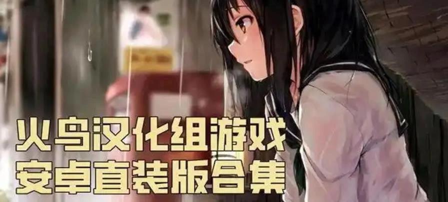 火鸟汉化组rpg游戏安卓大全