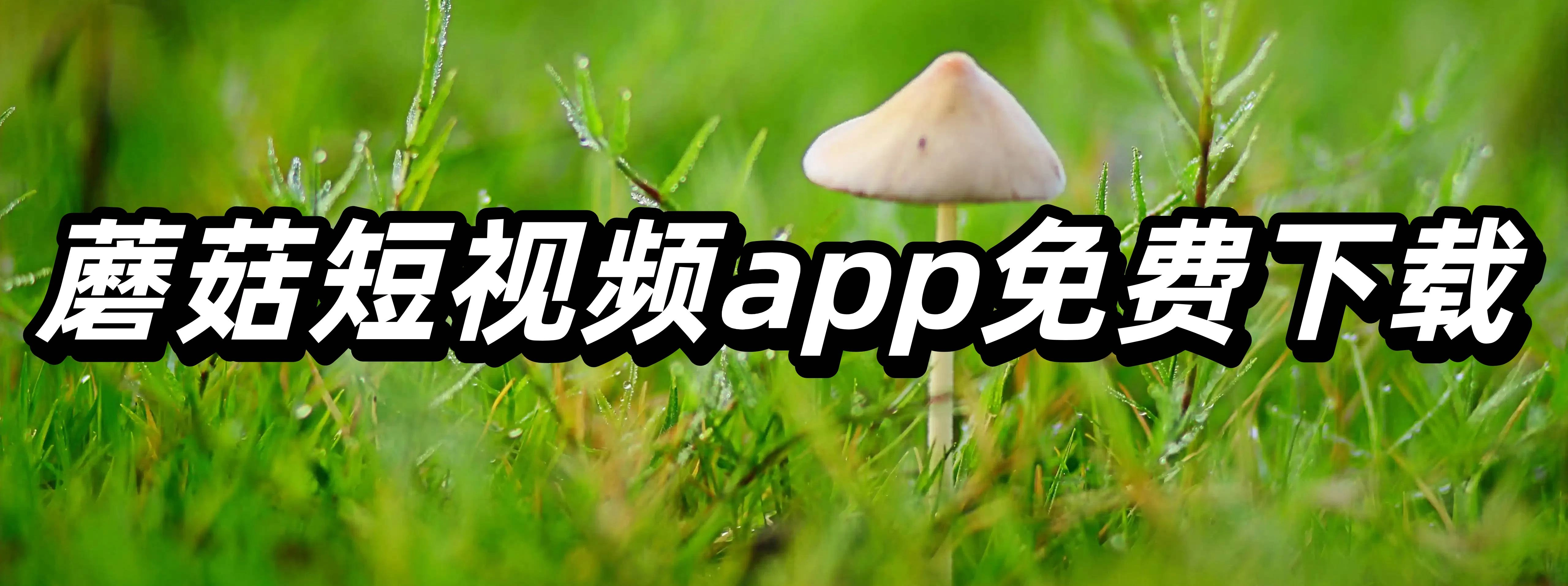 蘑菇短视频app免费下载