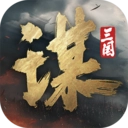 三国谋定天下正版