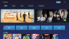 飞鸟影视图4