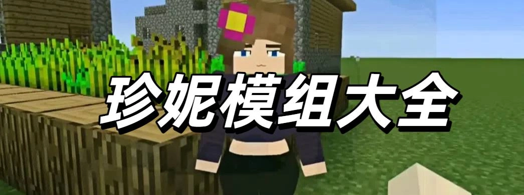 珍妮模组大全
