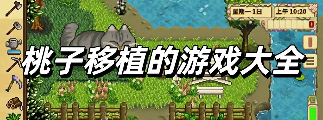 桃子移植的游戏大全