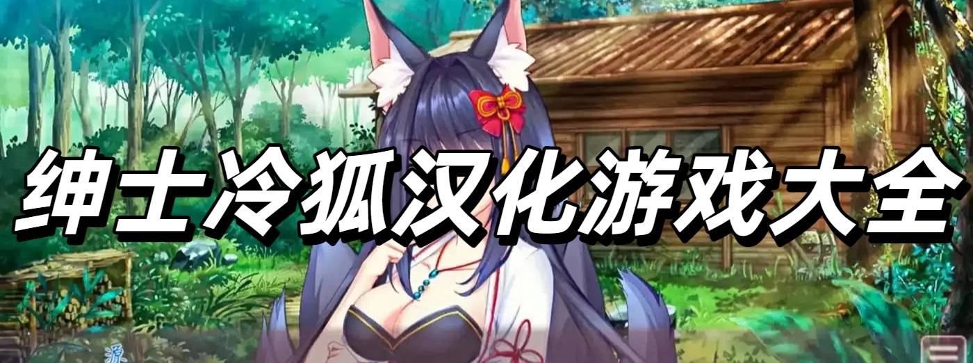 绅士冷狐汉化游戏大全