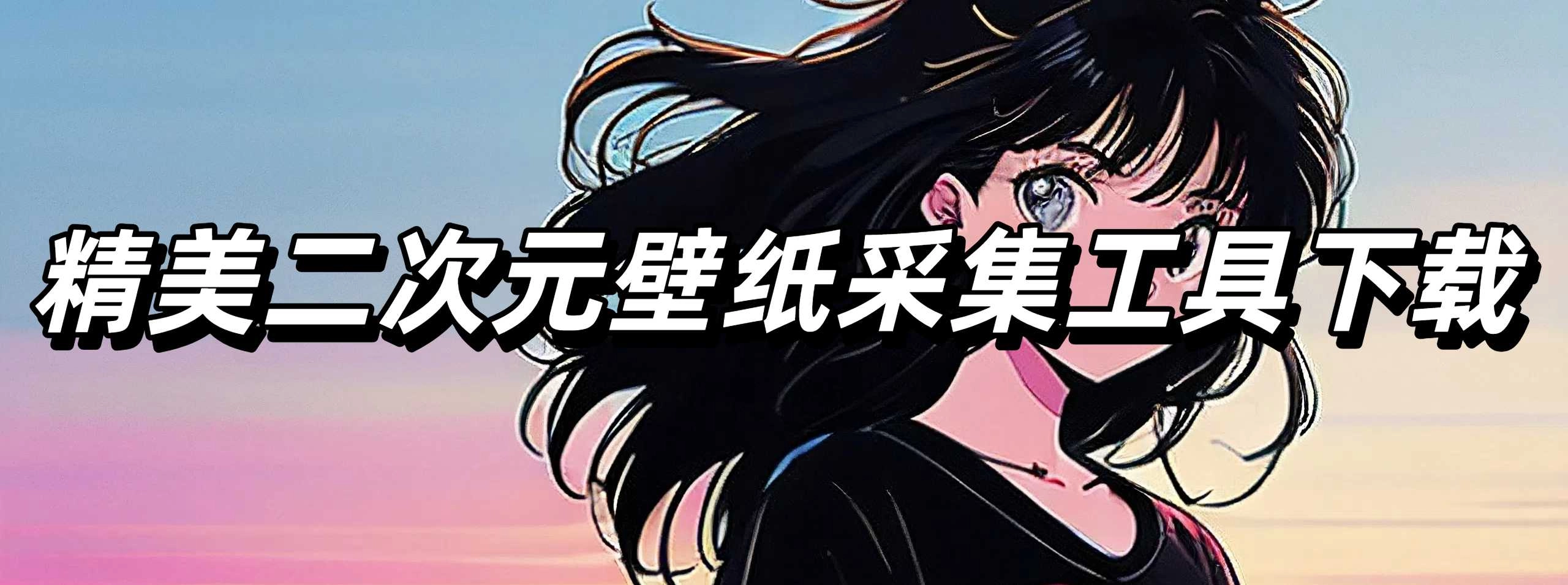 精美二次元壁纸采集工具下载