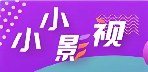 小小影视版本大全