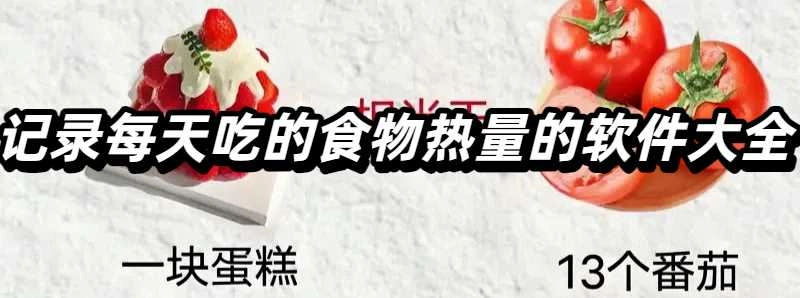 记录每天吃的食物热量的软件大全