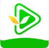 小草影视app
