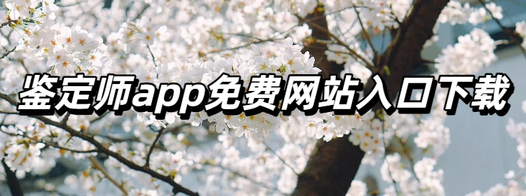 鉴定师app免费网站入口下载
