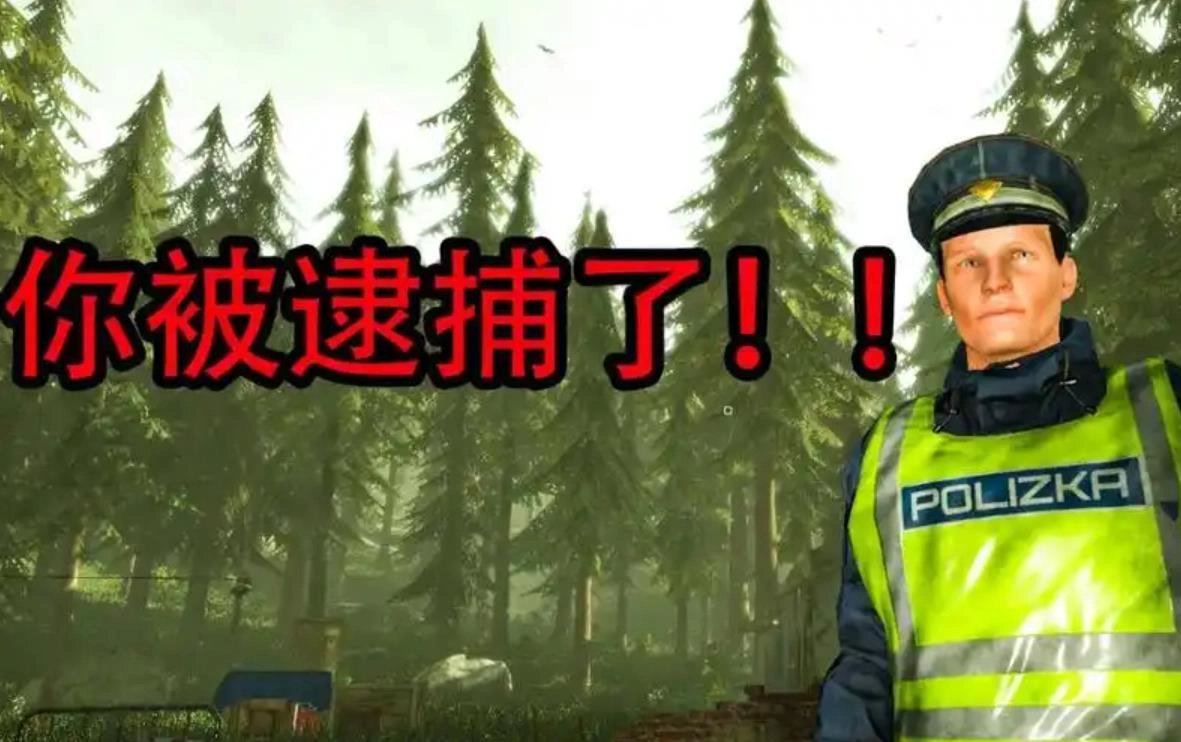 边境检察官手游大全