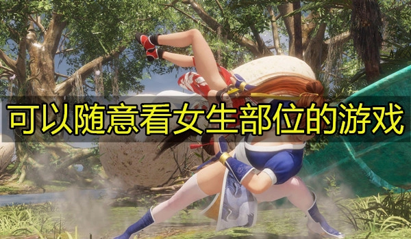 可以随意看女生部位的游戏
