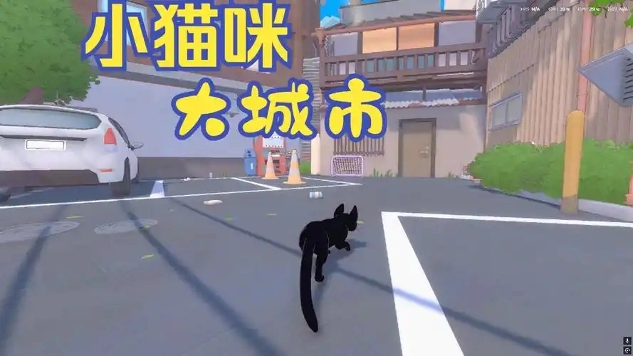 小猫咪大城市