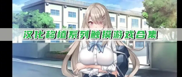 汉化移植系列触摸游戏合集