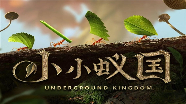 小小蚁国系列游戏