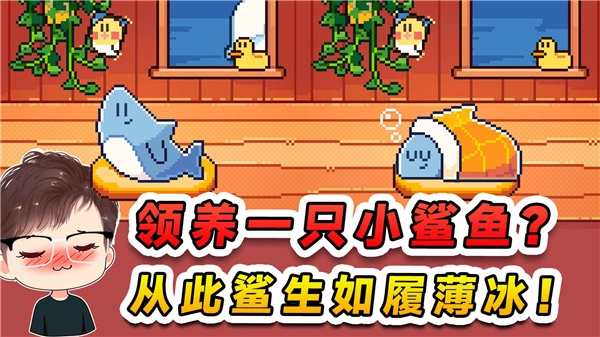 我的小鲨鱼所有版本