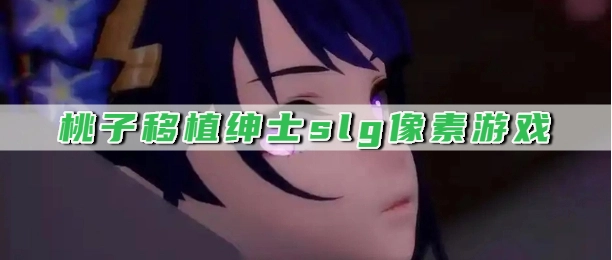 桃子移植绅士slg像素游戏