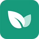 青藤之恋官方版