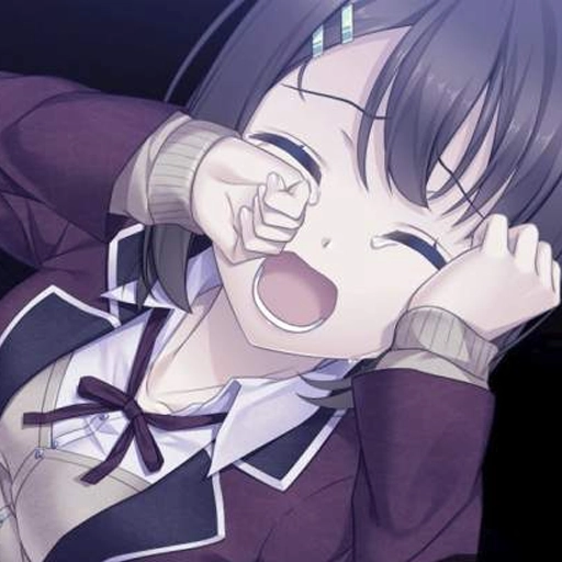 我和她的世界末日移植版