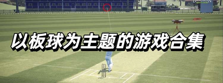 以板球为主题的游戏合集