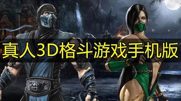 真人3D格斗游戏手机版