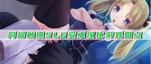 同居触摸SLG安卓汉化游戏