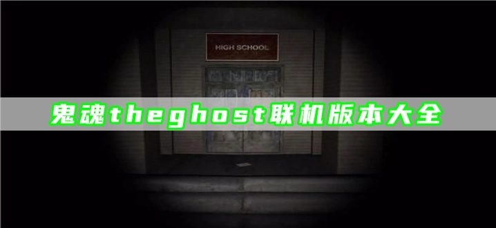 鬼魂theghost联机版本大全