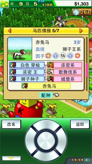 顶级跑马牧场中文版下载