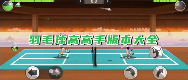 羽毛球高高手版本大全
