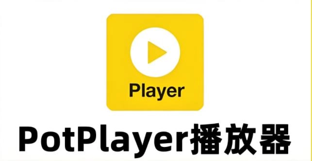 potplayer播放器版本大全