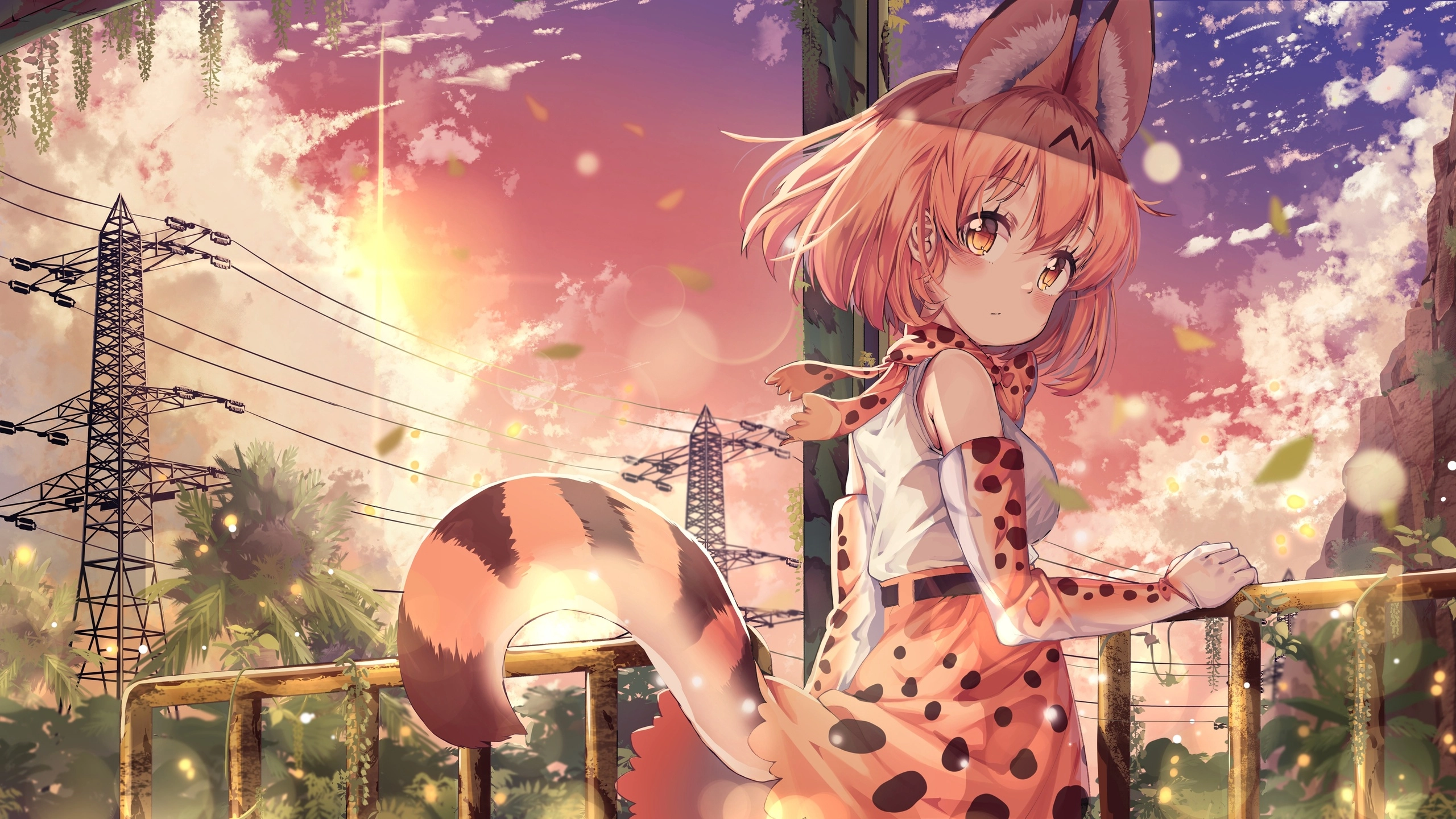 尾巴漫画下载大全