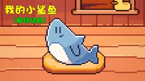 我的小鲨鱼