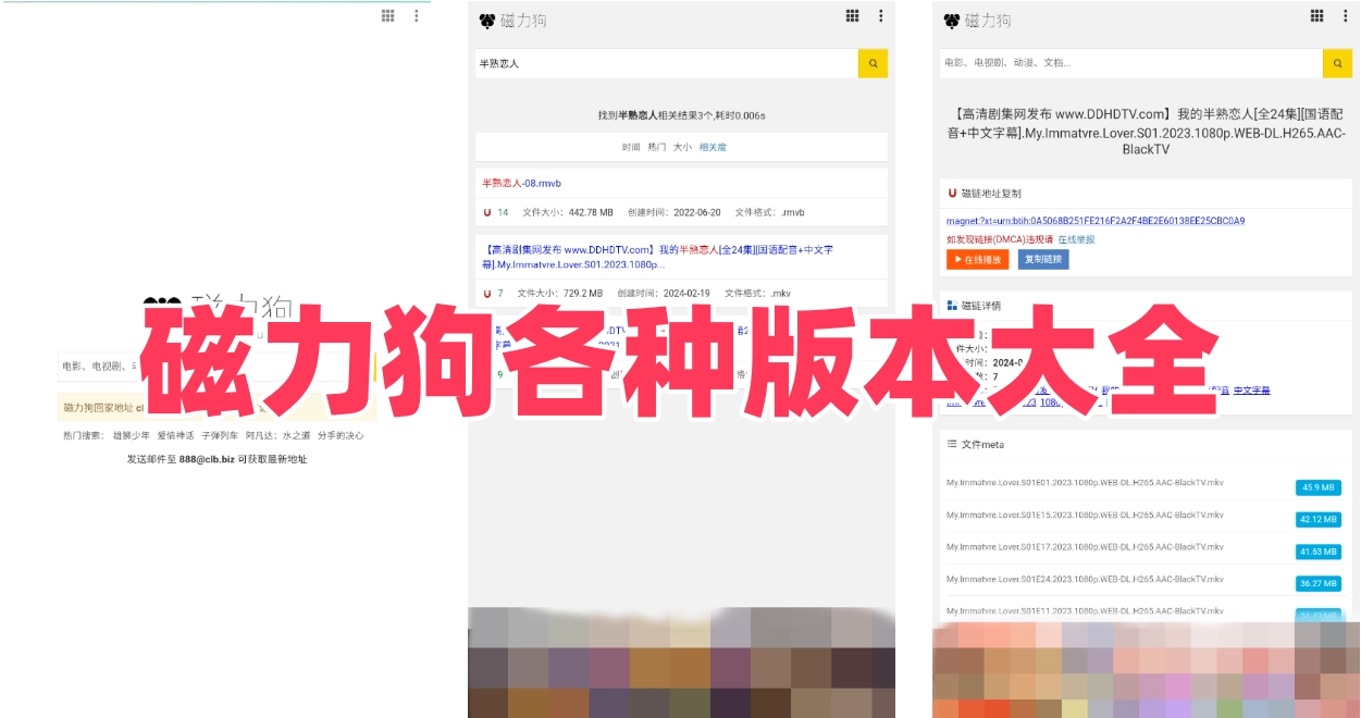 磁力狗各种版本大全