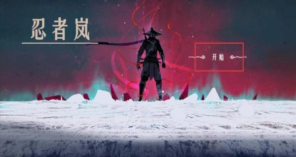 NinjaArashi2025下载