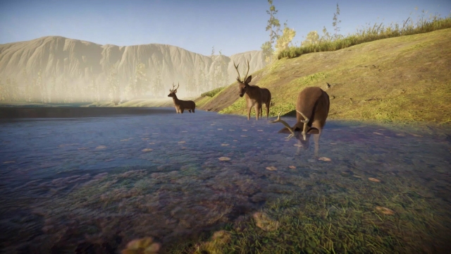 猎鹿森林奔跑(Deersimulator)正式版下载