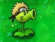 火影版植物大战僵尸